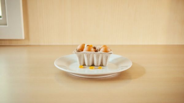 Les avantages de la protéine d'œuf : guide pratique pour l'intégration dans votre diète